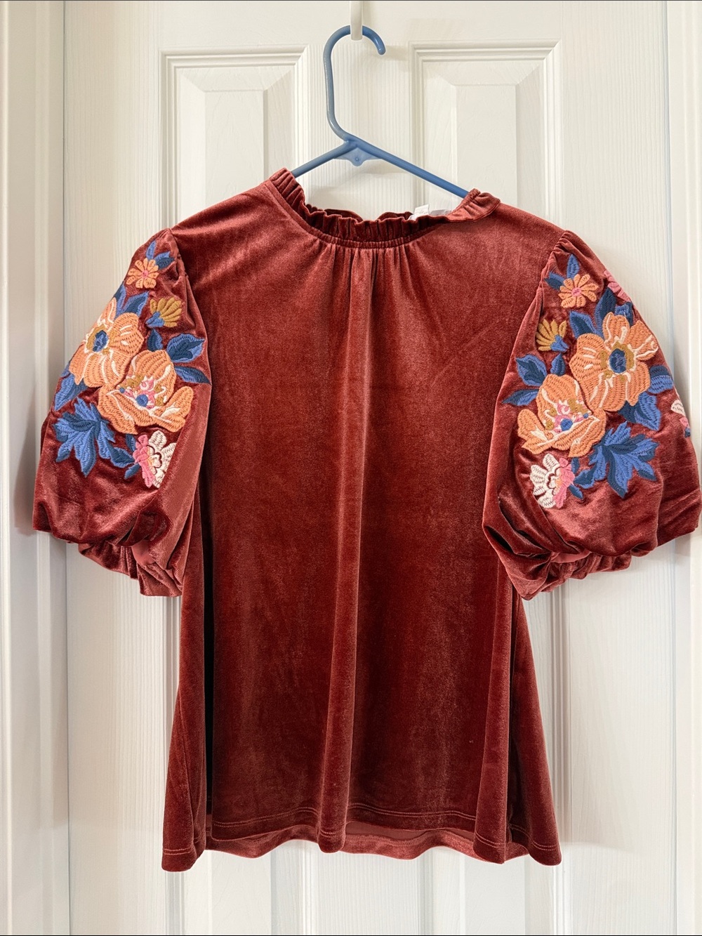THML Rust Velvet Puff Sleeve Blouse with Floral Embroidery